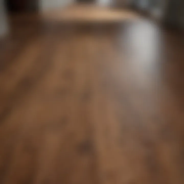 Transformation of Hardwood Floor with Wax Pen Before and after comparison of a hardwood floor treated with a wax pen.