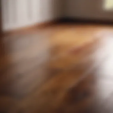 Mastering Finishing Techniques for Hardwood Floors Hardwood Floor Finishing Techniques
