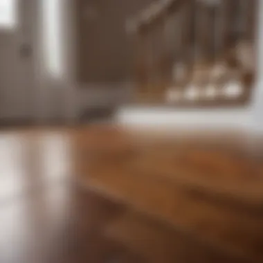 Hardwood Floor Samples
