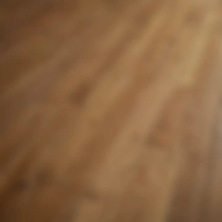 Close-up of LifeProof Bamboo Flooring revealing its unique finish and durability.
