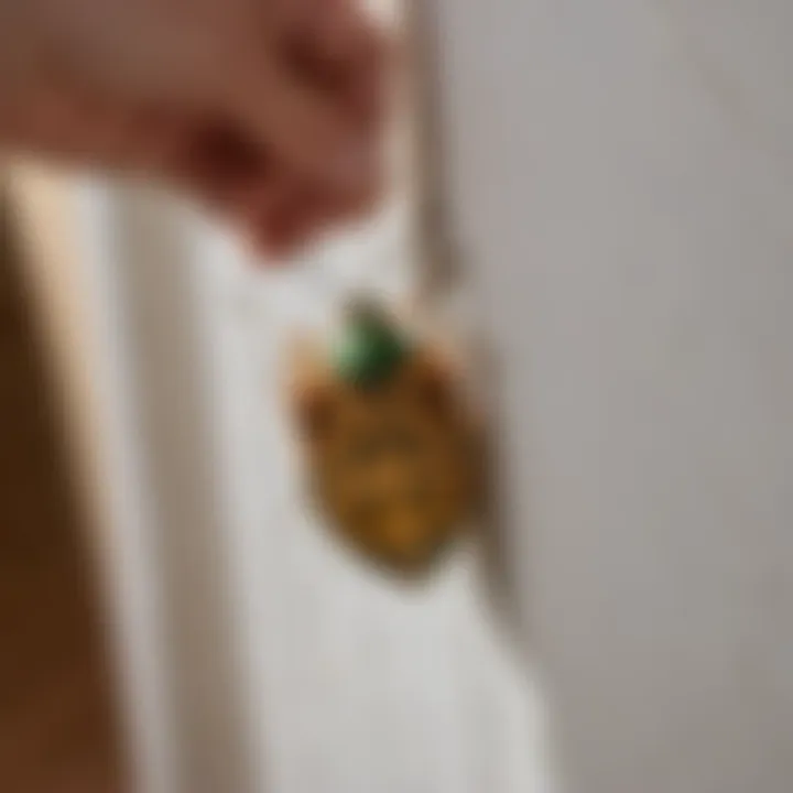Homeowner applying insecticide to stink bug-infested area