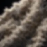 Asbestos fibers under a microscope