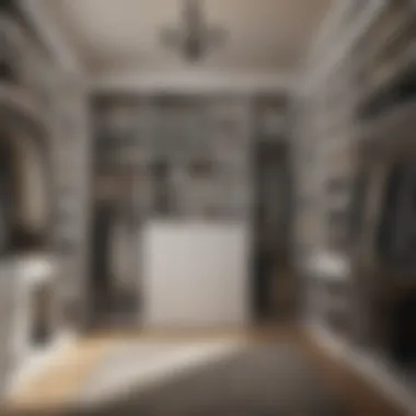 Elegant closet organization showcasing creative storage solutions
