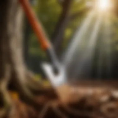 Innovative tree root cutting tool in action