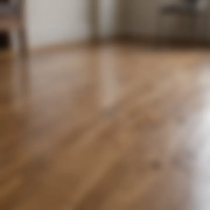 A beautifully installed wooden floor showing its polished finish in a bright room