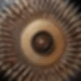 Intricate Geometric Design of Counterclockwise Fan Blades