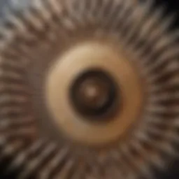 Intricate Geometric Design of Counterclockwise Fan Blades