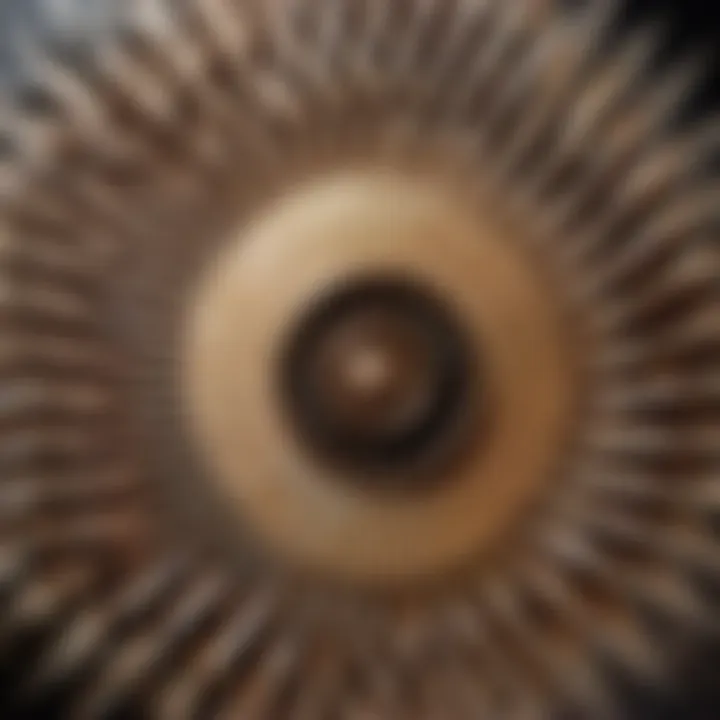 Intricate Geometric Design of Counterclockwise Fan Blades