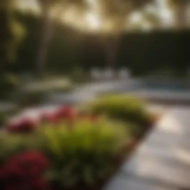 Enhancing Landscaping Efficiency with Drip System Cost Analysis Landscaping Cost Optimization through Drip Systems