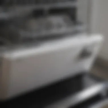 Cost-Efficiency Considerations LG Dishwasher Circulation Pump Maintenance