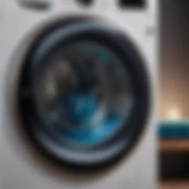 Durable LG Washing Machine Rubber Seal Performance