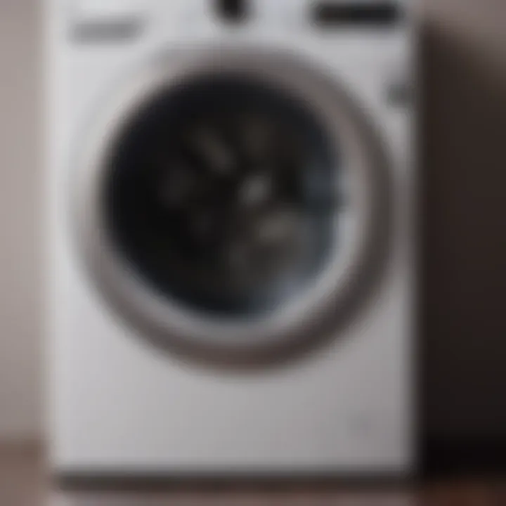 Precision Crafted LG Washing Machine Rubber Seal