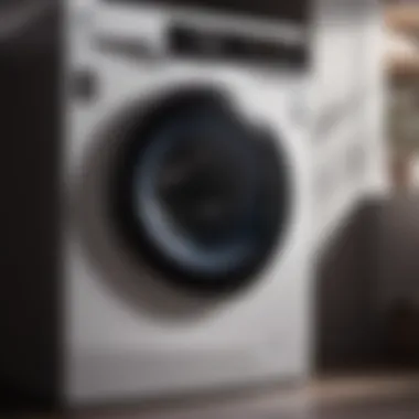 Sleek Design of LG Washing Machine Rubber Seal