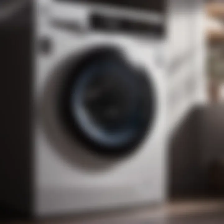 Sleek Design of LG Washing Machine Rubber Seal