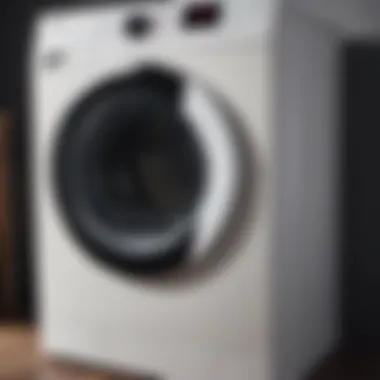 Lint Trap Safety Importance
