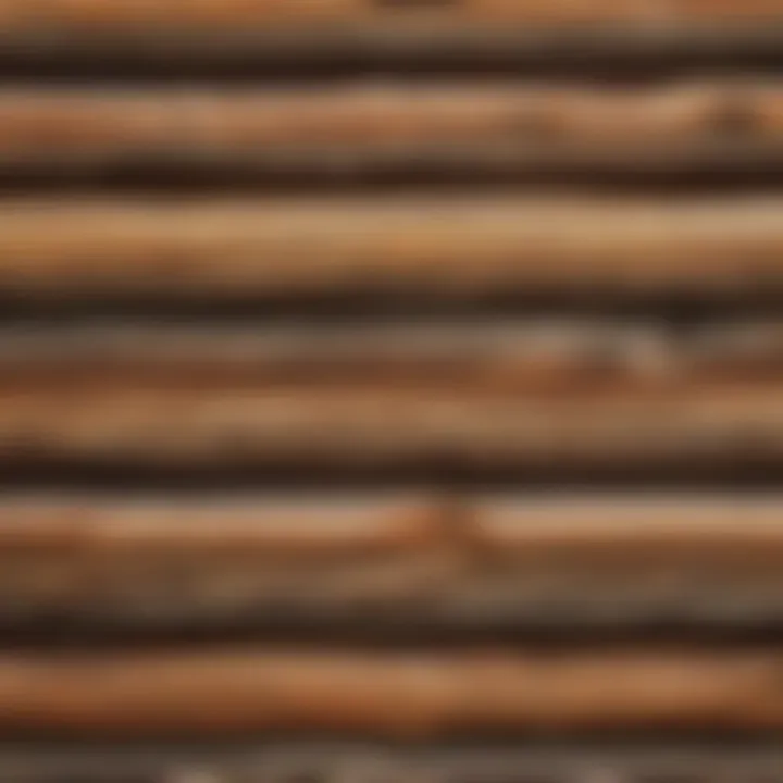 Close-Up Detail of Log Cabin Style Siding Texture