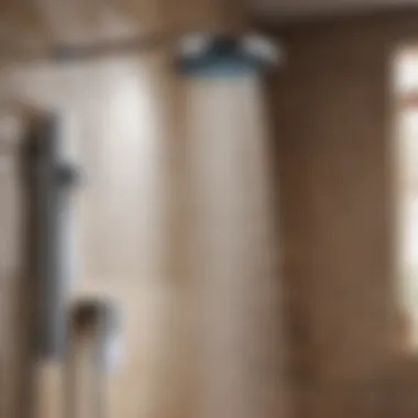 Luxurious Features Dual Shower Head Luxurious Features Dual Shower Head