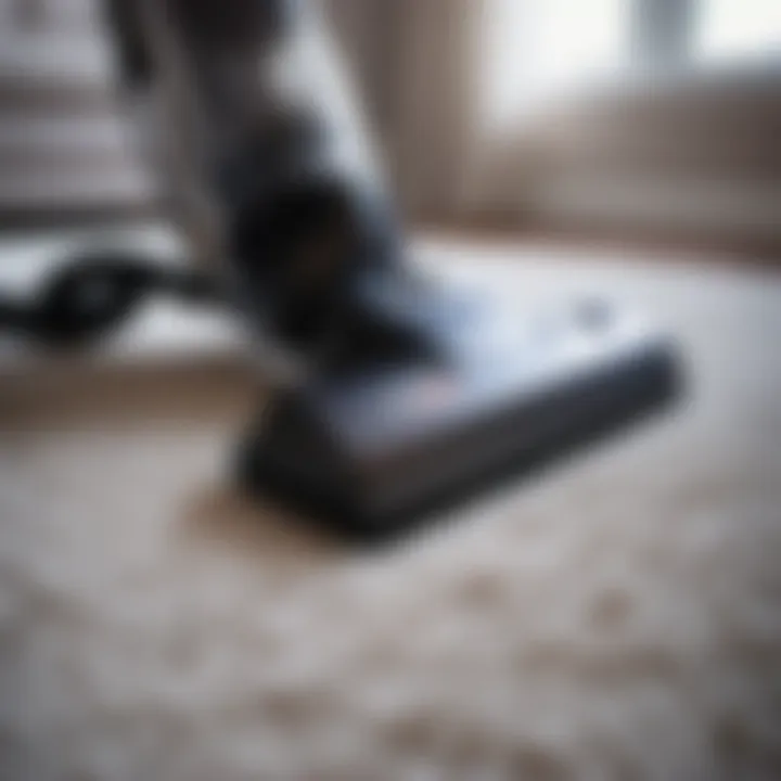 Luxurious Shaw carpet maintenance tool
