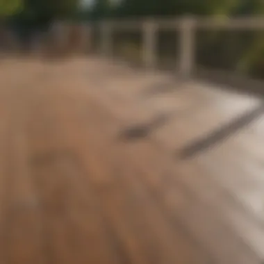 Long-lasting Beauty of a Maintained Trex Deck Well-maintained Trex deck after resurfacing