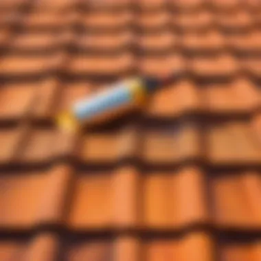 Masterful Application of Spray Paint on Roof Tiles