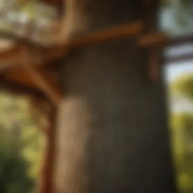 Close-up of sturdy support beams securing a tree house to the trunk of a tree