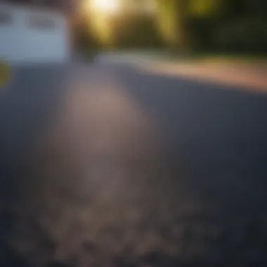 Sealing the rejuvenated tarmac driveway for longevity