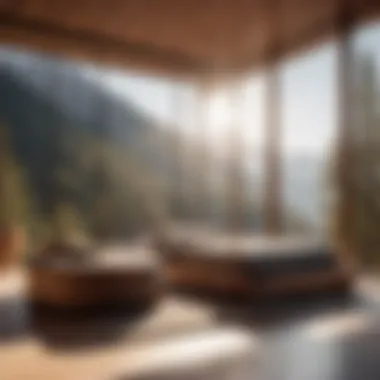 Modern Minimalist Cabin