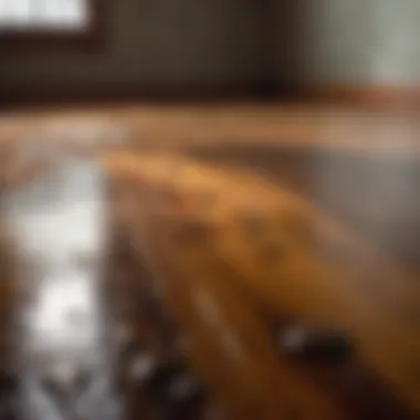 Mold growth on water-damaged hardwood flooring