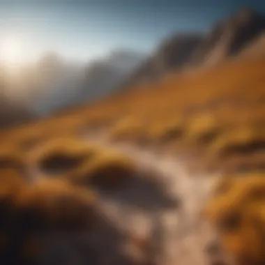 Mountainous landscape for surveying