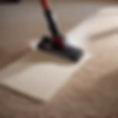 Carpet Stain Removal Techniques