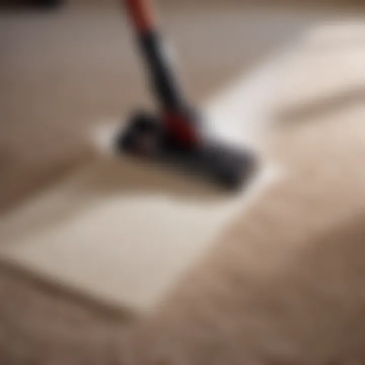 Carpet Stain Removal Techniques