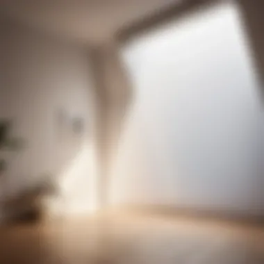 Unveiling the Secrets of Diffuser Functionality Diffuser Functionality