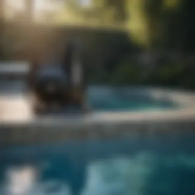 Energy Efficient Pool Pump