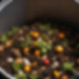 Organic Waste in Compost Bin