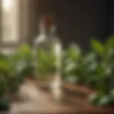 Peppermint oil in a glass bottle surrounded by peppermint leaves