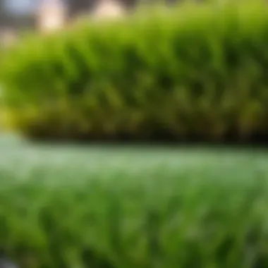 Pet Turf Materials Comparison