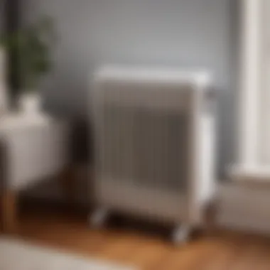 Portable Oil-Filled Radiator Heater Visualization