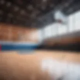 Professional basketball court design