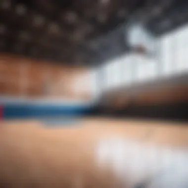 Professional basketball court design