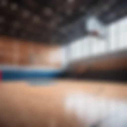 Professional basketball court design