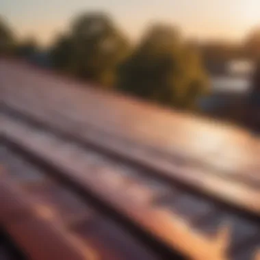Pros and cons of composite roll roofing