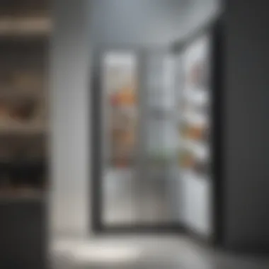 Sleek Modern Design Refrigerator