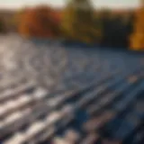 Resilient steel roof over asphalt shingles