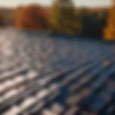 Resilient steel roof over asphalt shingles