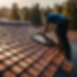Roof Inspection