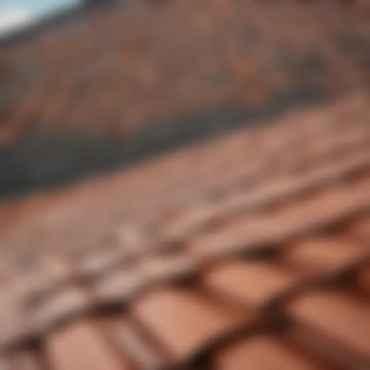 Roofing Materials Showcase