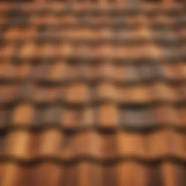 Rustic Wood Shingle Roof