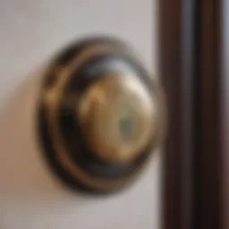 Secure Lock Mechanism of Keyless Deadbolt