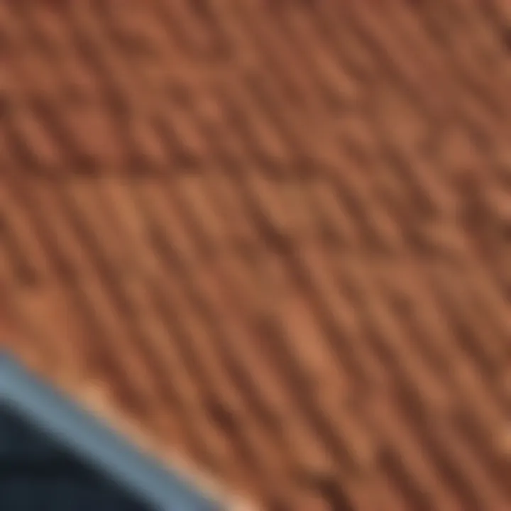 Roofing materials for shed