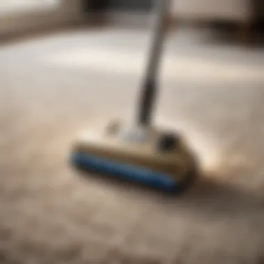 Sleek design elements of heavy-duty carpet shampooer